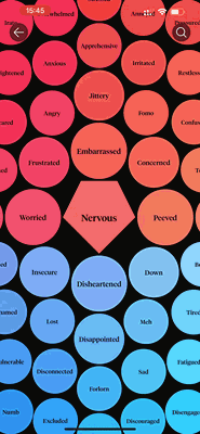 Screen recording of the quadrants of emotion within the how we feel app.